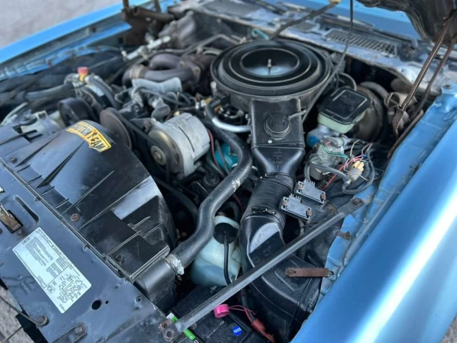 1981 Pontiac Firebird Trans Am 2nd Gen - Image 14 of 15