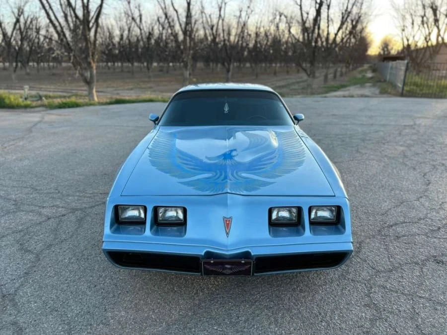 1981 Pontiac Firebird Trans Am 2nd Gen - Image 3 of 15