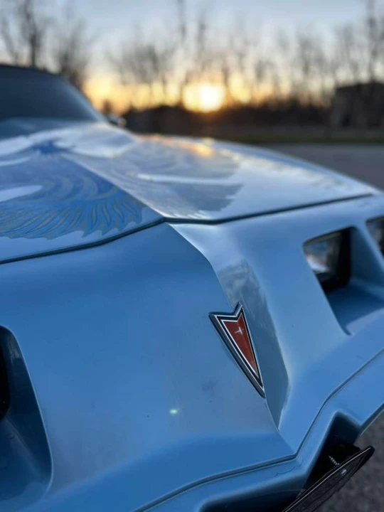 1981 Pontiac Firebird Trans Am 2nd Gen - Image 7 of 15