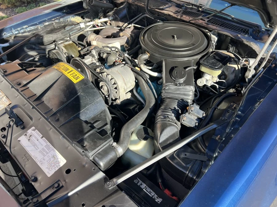 1981 Pontiac Firebird Trans Am 2nd Gen - Image 9 of 11