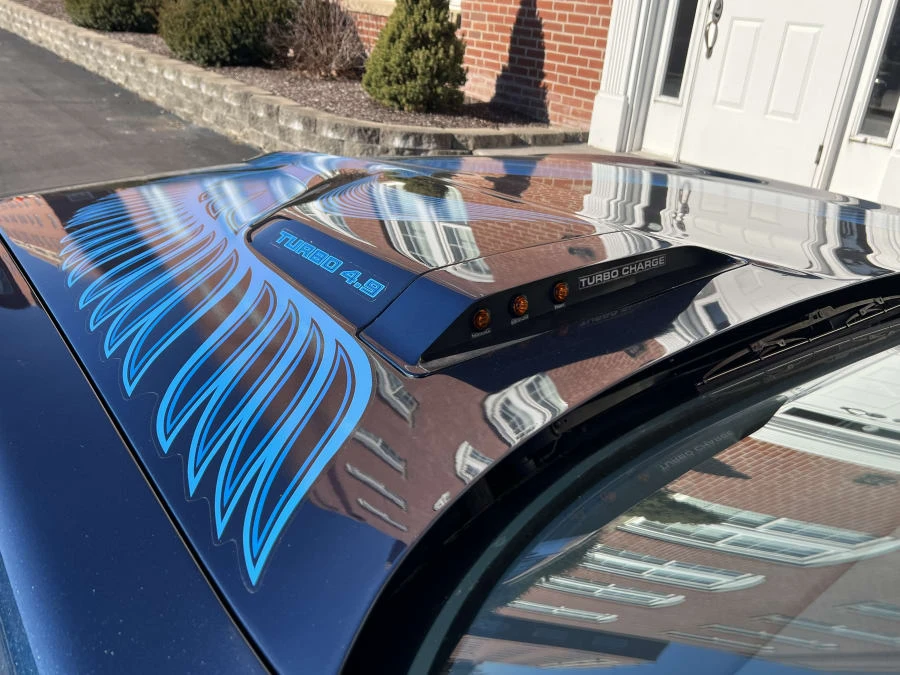 1981 Pontiac Firebird Trans Am 2nd Gen - Image 4 of 11