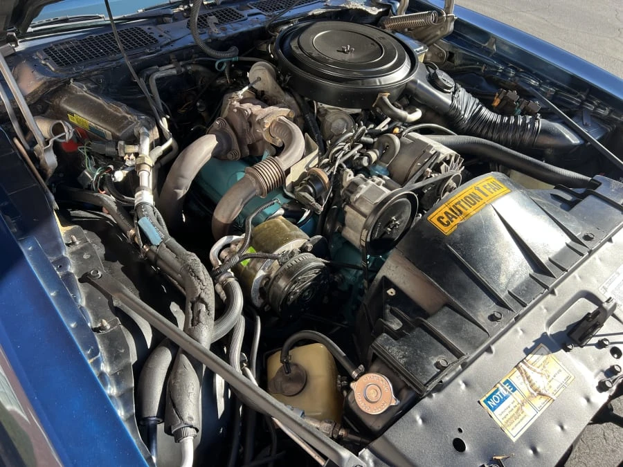1981 Pontiac Firebird Trans Am 2nd Gen - Image 10 of 11