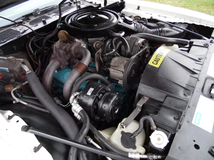 1981 Pontiac Firebird Trans Am 2nd Gen - Image 7 of 7