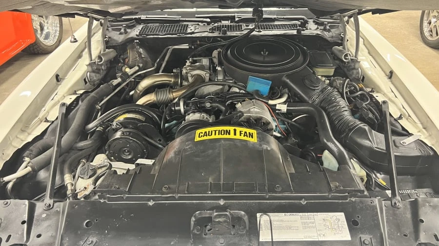 1981 Pontiac Firebird Trans Am 2nd Gen - Image 8 of 9