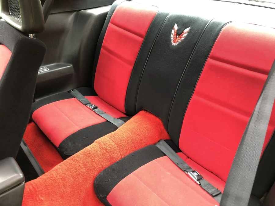 1981 Pontiac Firebird Trans Am 2nd Gen - Image 5 of 9