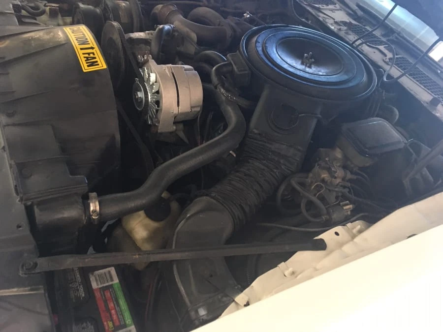 1981 Pontiac Firebird Trans Am 2nd Gen - Image 5 of 8