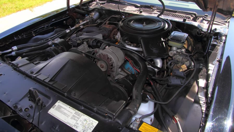 1981 Pontiac Firebird Trans Am 2nd Gen - Image 6 of 12