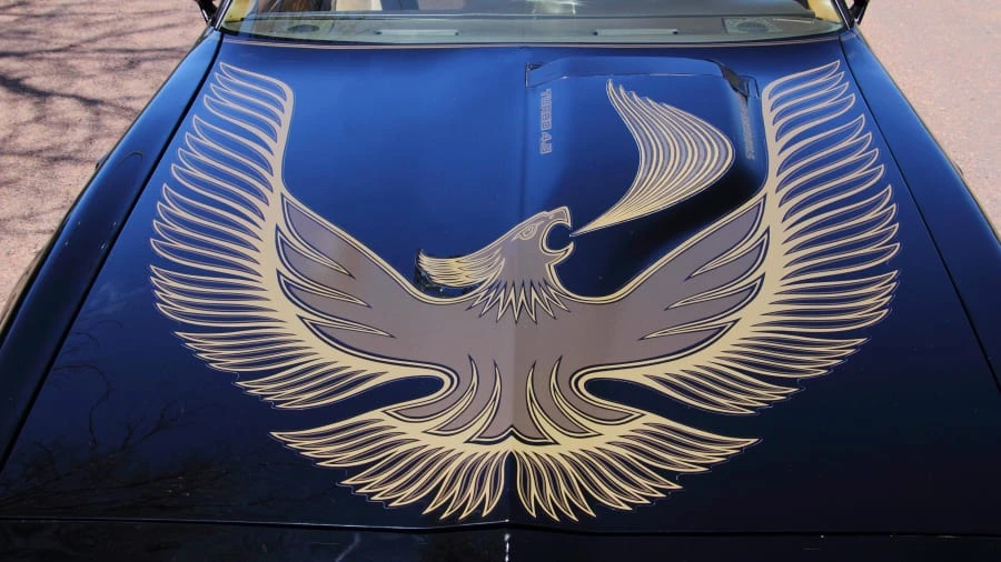 1981 Pontiac Firebird Trans Am 2nd Gen - Image 9 of 12