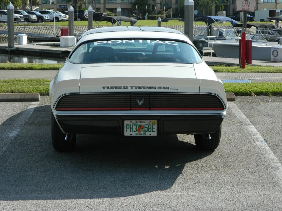 1981 Pontiac Firebird Trans Am 2nd Gen - Image 4 of 7