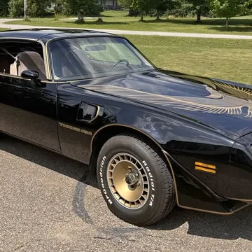 1981 Pontiac Firebird Trans Am