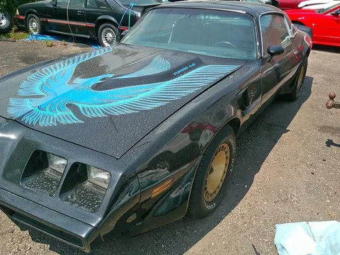 1981 Pontiac Firebird Trans Am