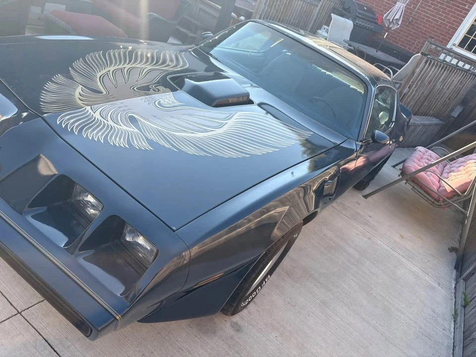 1981 Pontiac Firebird Trans Am 2nd Gen - Image 5 of 12