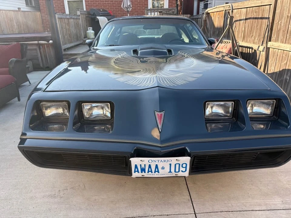 1981 Pontiac Firebird Trans Am 2nd Gen - Image 4 of 12