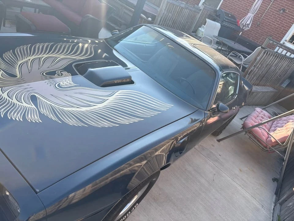 1981 Pontiac Firebird Trans Am 2nd Gen - Image 3 of 12