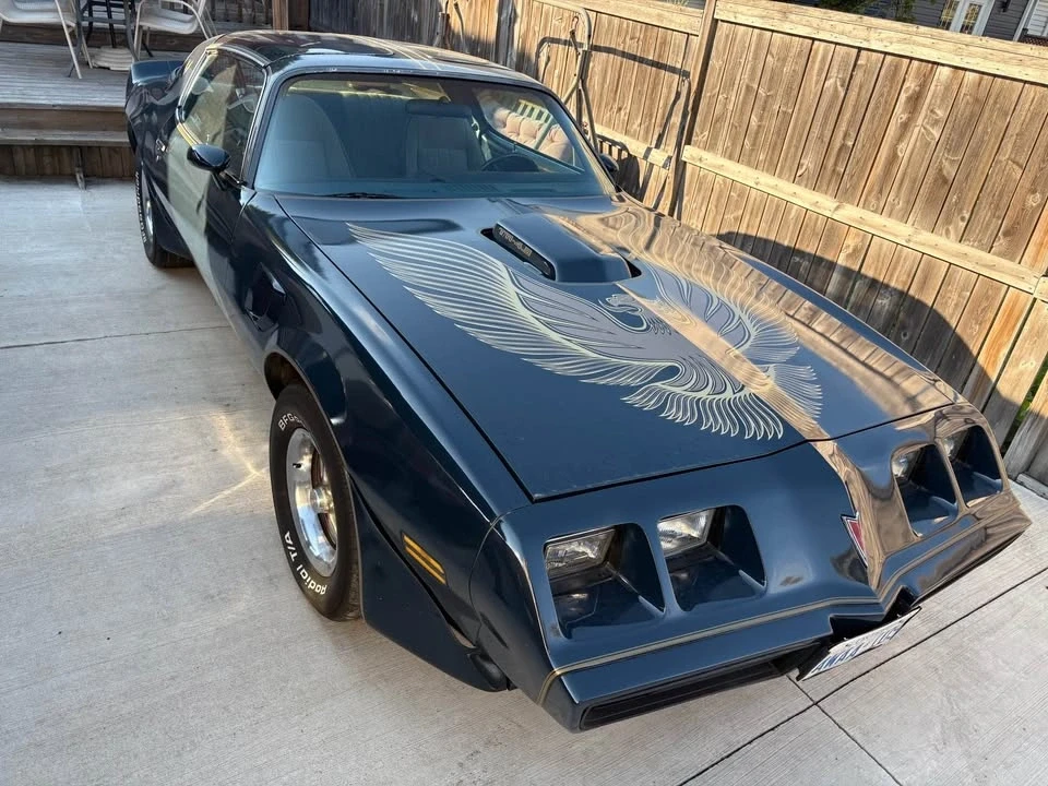 1981 Pontiac Firebird Trans Am 2nd Gen - Image 6 of 12