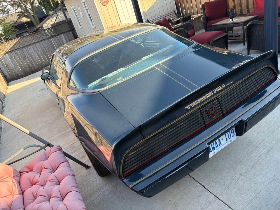 1981 Pontiac Firebird Trans Am 2nd Gen - Image 2 of 12