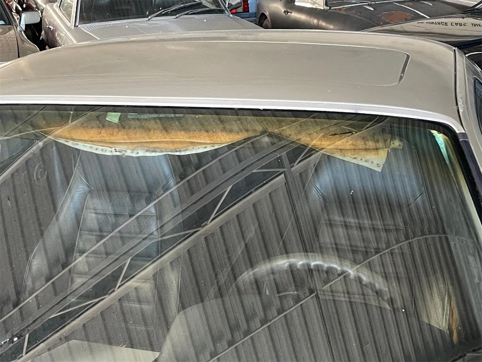 1981 Porsche 928 - Image 24 of 31