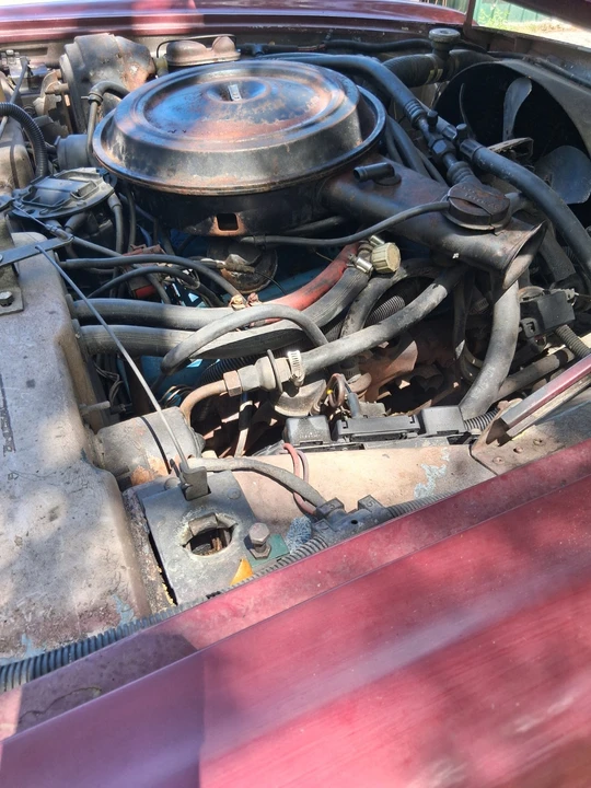 1981 Studebaker Avanti - Image 11 of 21