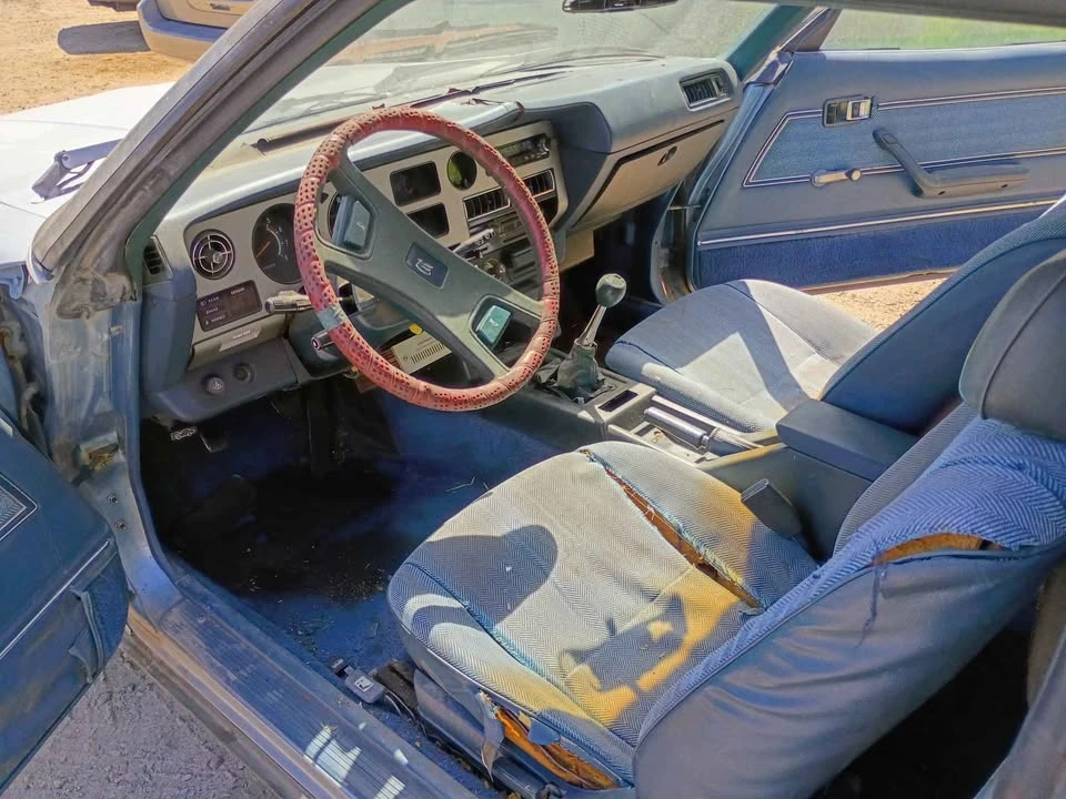 1981 Toyota Celica - Image 5 of 20