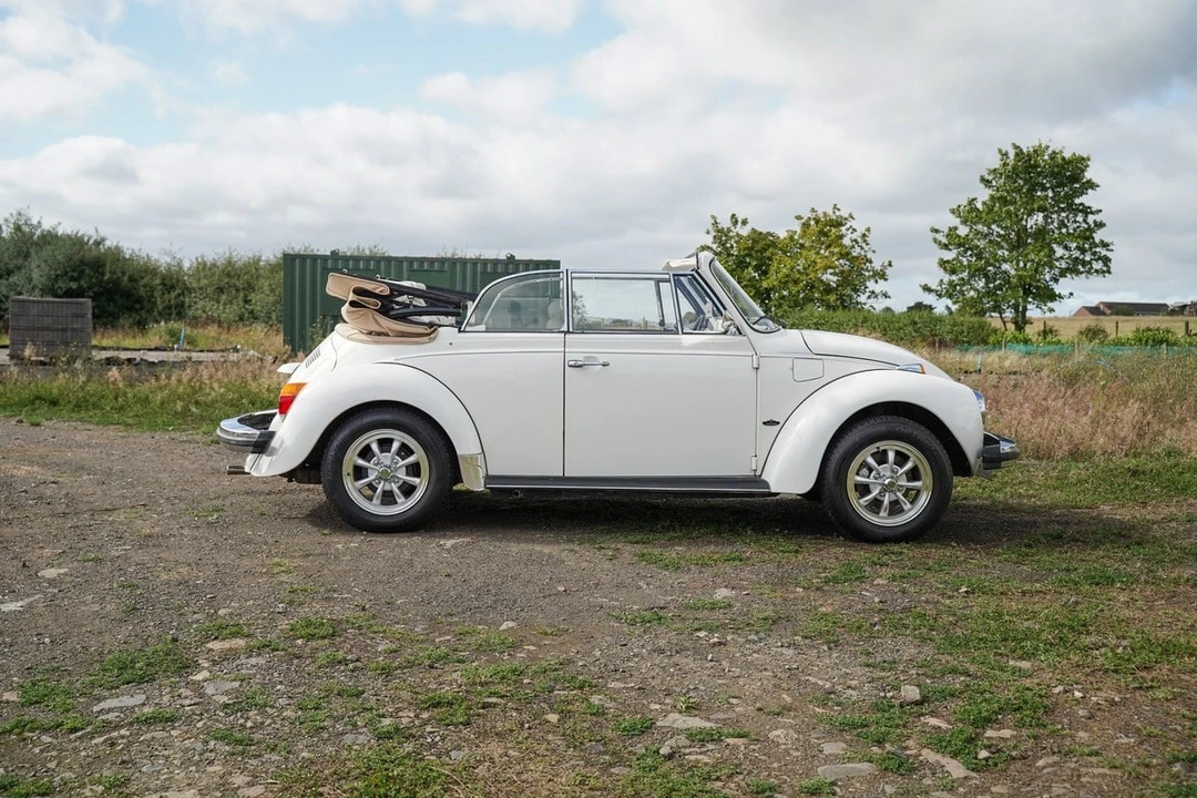 1981 Volkswagen Beetle (1980-2003) - Image 3 of 30