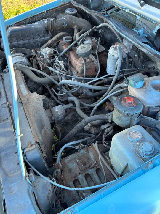 1981 Volkswagen Golf Mk1 - Image 15 of 15