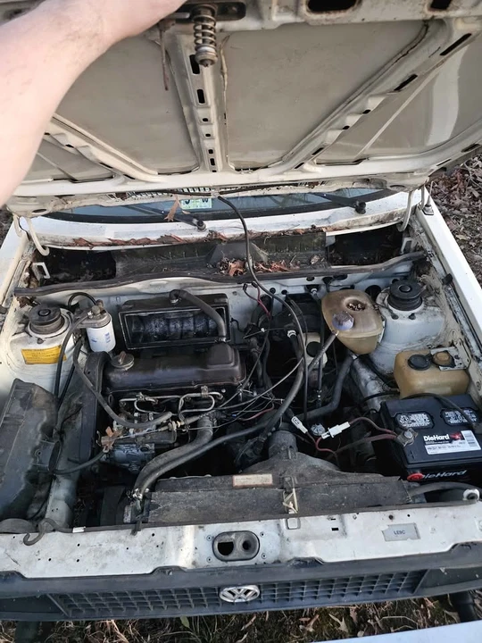1981 Volkswagen Golf Mk1 - Image 5 of 6