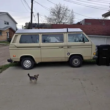 1981 Volkswagen Westfalia Vanagon Automatic