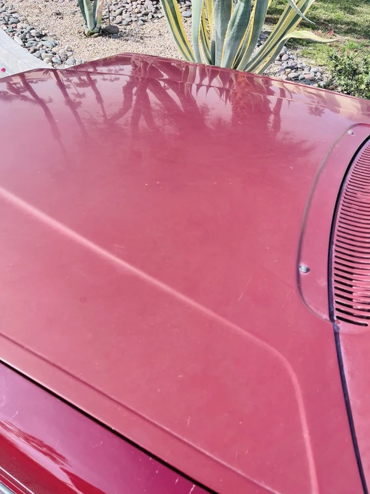 1981 Volvo 264 - Image 5 of 9