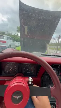 1981 Chevrolet Corvette