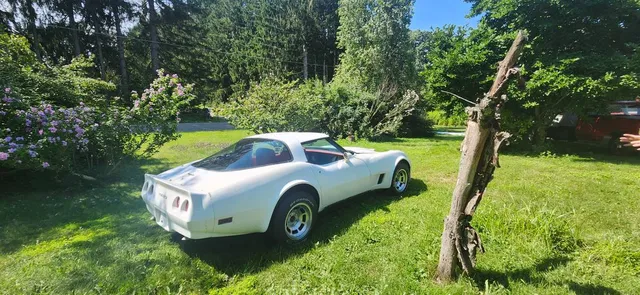 1981 Chevrolet Corvette