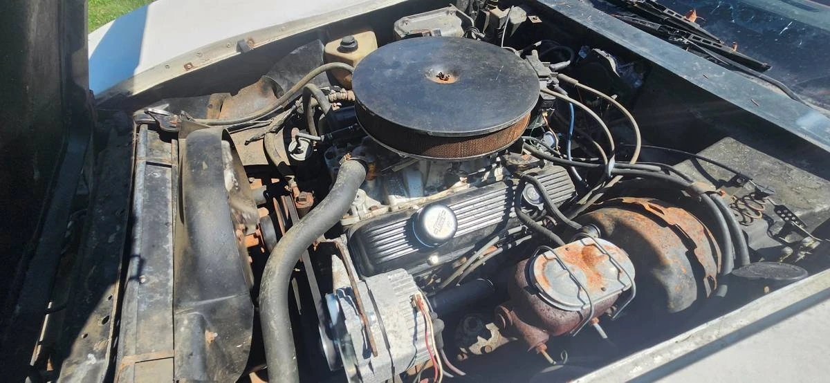 1981 Chevrolet Corvette C3 - Image 6 of 6