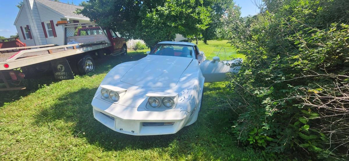 1981 Chevrolet Corvette C3 - Image 4 of 6