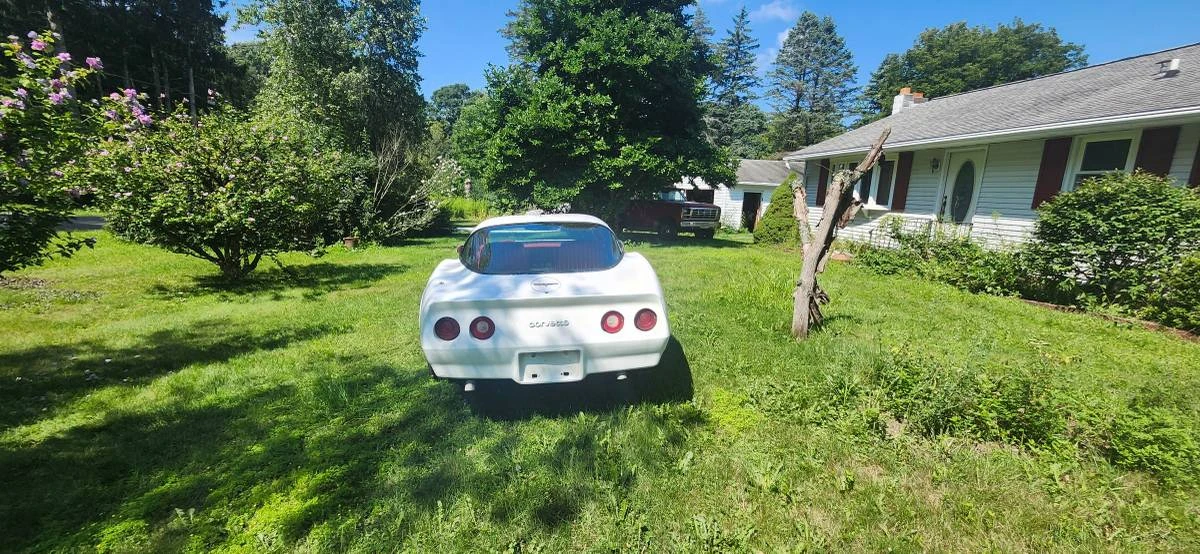 1981 Chevrolet Corvette C3 - Image 3 of 6