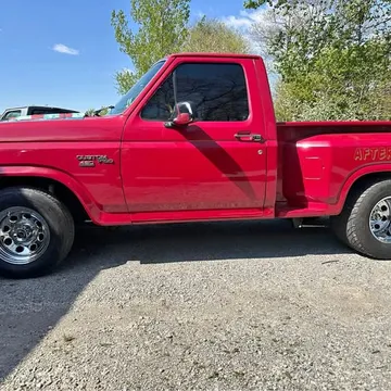 1981 Ford F-100