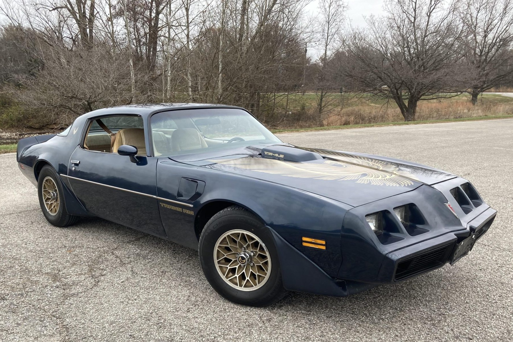 1981 Pontiac Firebird Trans Am