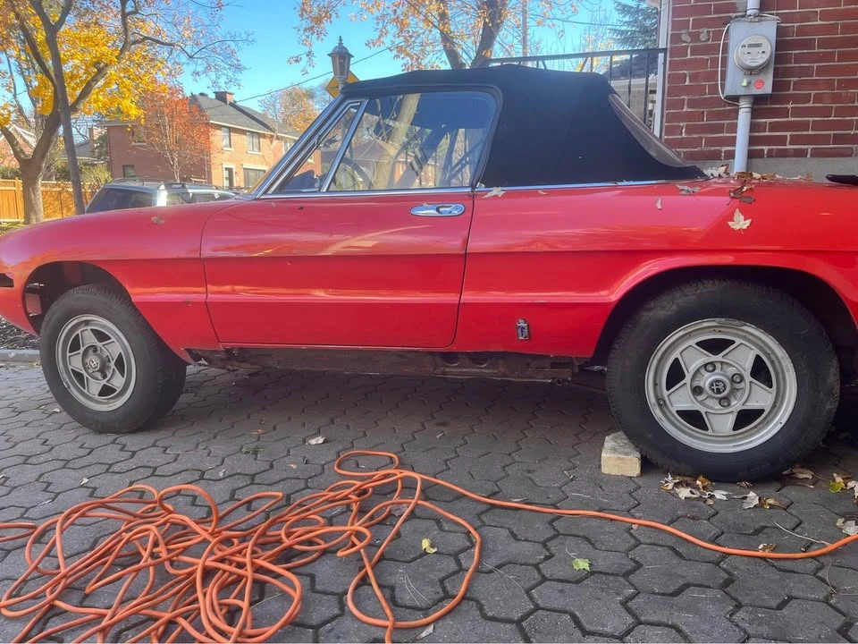 1982 Alfa Romeo Series 2 - Image 4 of 9