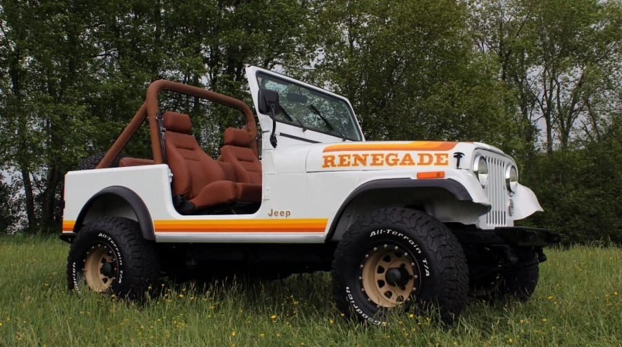 1982 AMC - Image 3 of 8