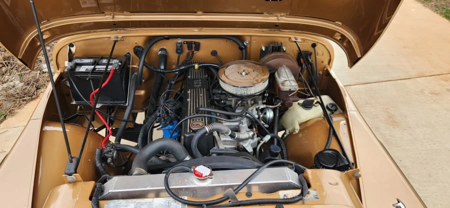 1982 AMC - Image 20 of 20