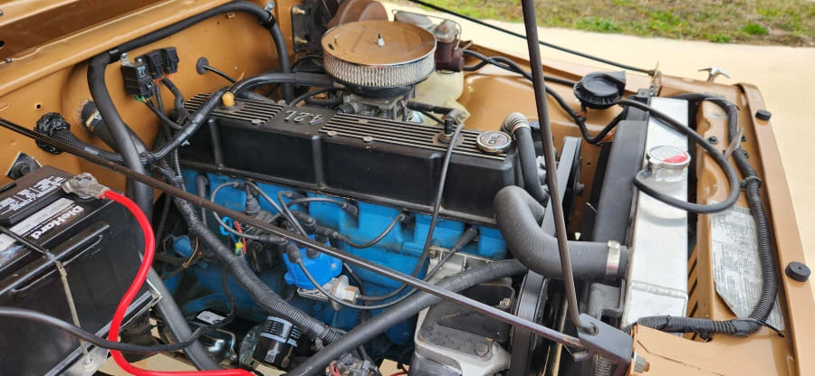 1982 AMC - Image 19 of 20