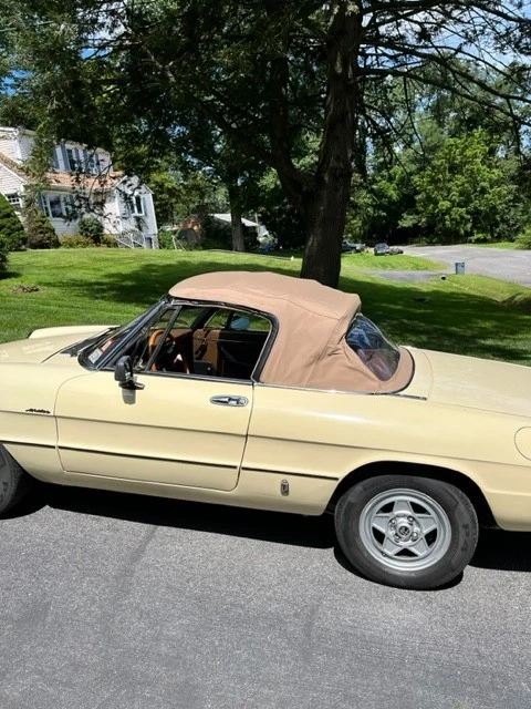 1982 Alfa Romeo Series 2 - Image 4 of 9