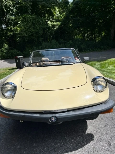 1982 Alfa Romeo Series 2 - Image 3 of 9