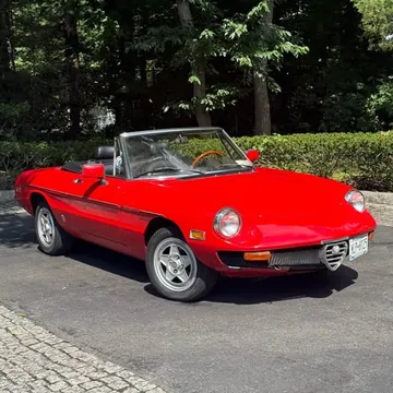 1982 Alfa Romeo Spider Convertible