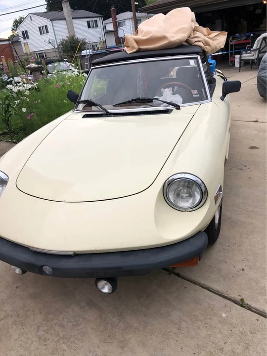 1982 Alfa Romeo Series 2 - Image 2 of 2