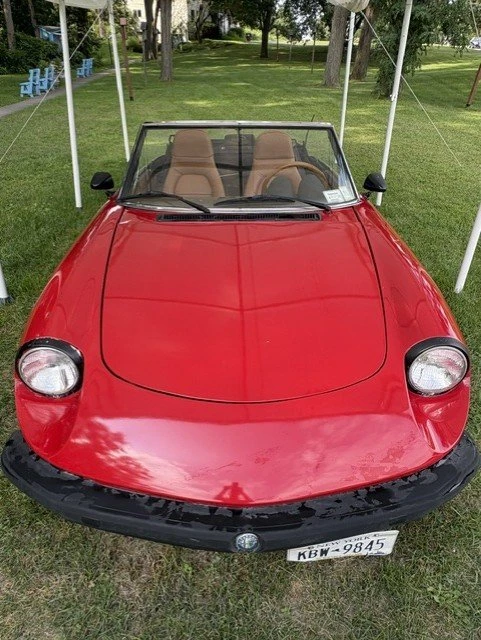 1982 Alfa Romeo Series 2 - Image 2 of 8