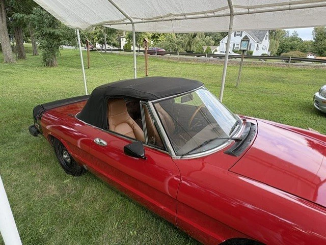 1982 Alfa Romeo Series 2 - Image 3 of 8