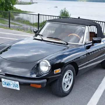 1982 Alfa Romeo Spider Veloce