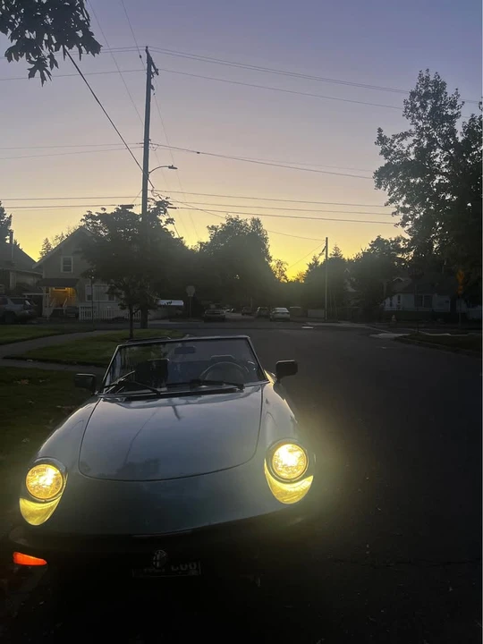 1982 Alfa Romeo Series 2 - Image 4 of 5