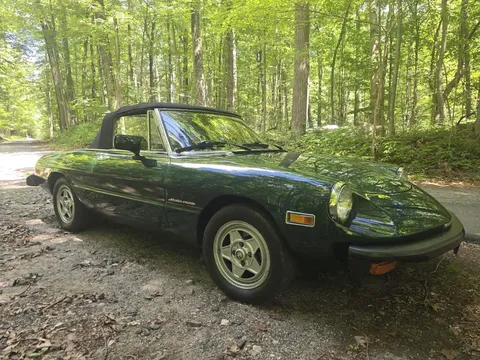 1982 Alfa Romeo Spider