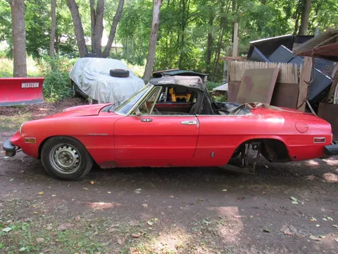 1982 Alfa Romeo Spider Volce