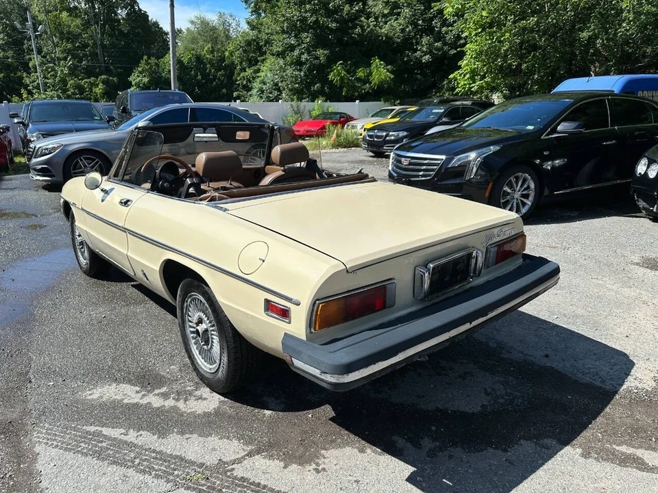 1982 Alfa Romeo Series 2 - Image 7 of 21
